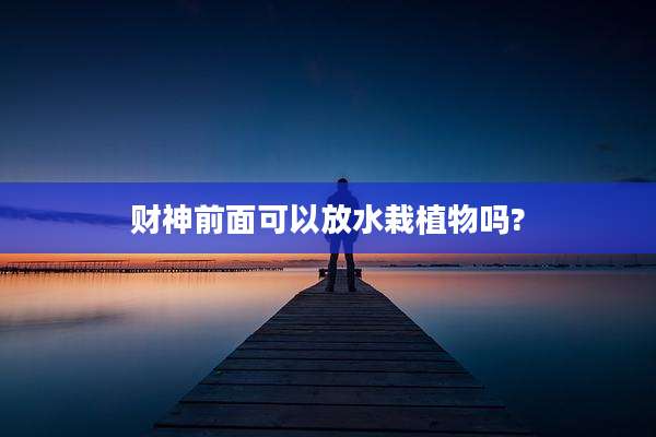 财神前面可以放水栽植物吗?