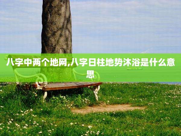 八字中两个地网,八字日柱地势沐浴是什么意思