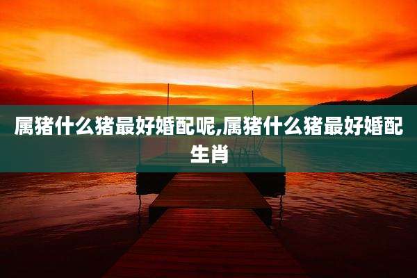 属猪什么猪最好婚配呢,属猪什么猪最好婚配生肖