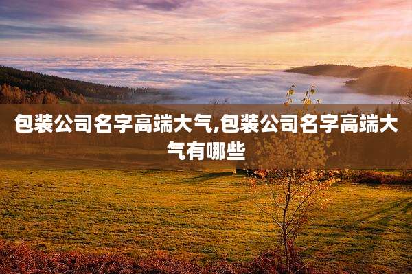 包装公司名字高端大气,包装公司名字高端大气有哪些