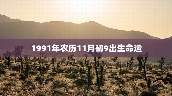 1991年农历11月初9出生命运