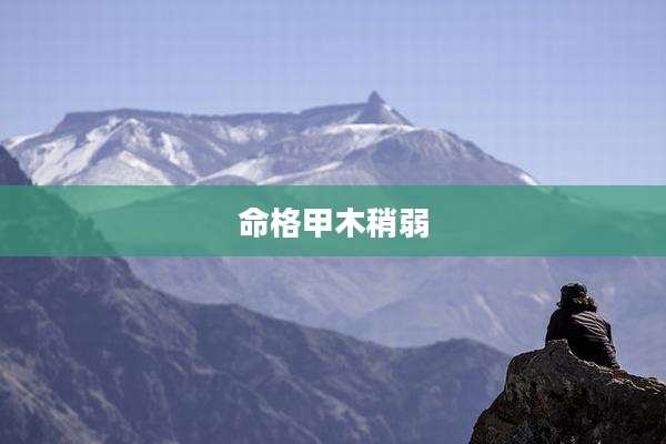 命格甲木稍弱
