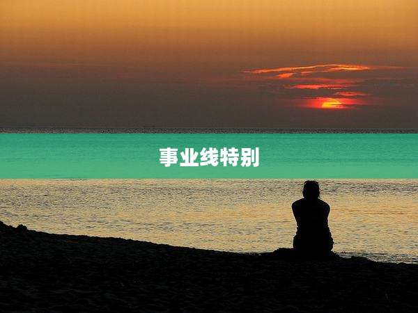 事业线特别
