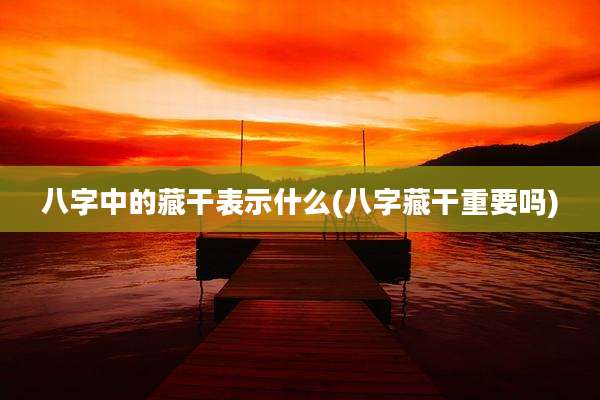 八字中的藏干表示什么(八字藏干重要吗)