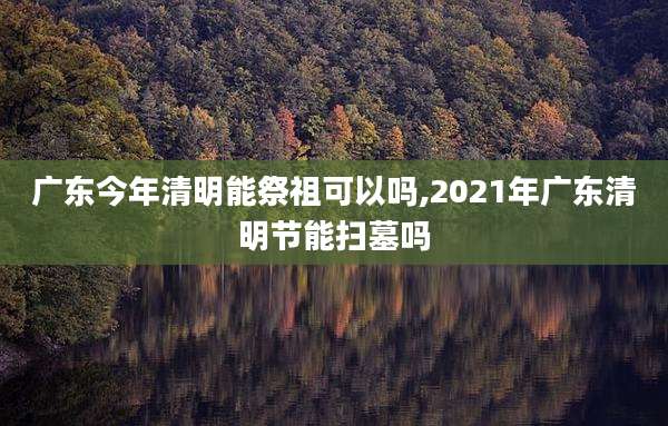 广东今年清明能祭祖可以吗,2021年广东清明节能扫墓吗