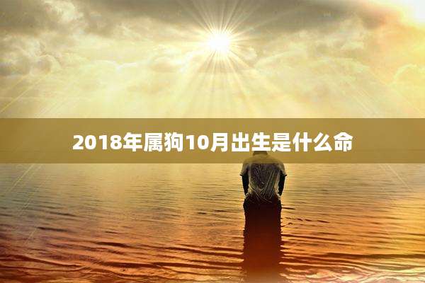 2018年属狗10月出生是什么命