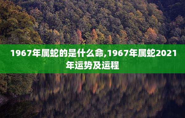 1967年属蛇的是什么命,1967年属蛇2021年运势及运程