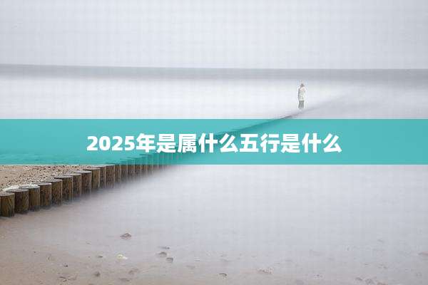 2025年是属什么五行是什么