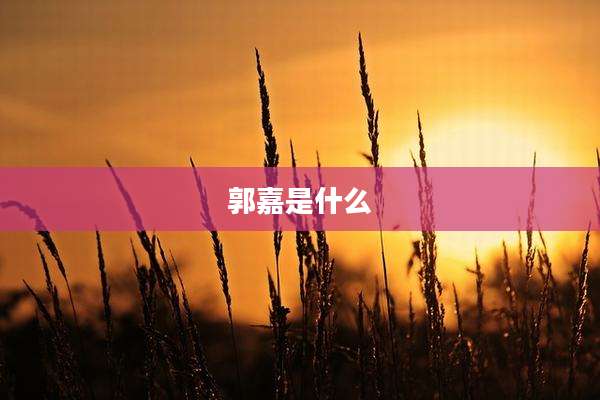 郭嘉是什么
