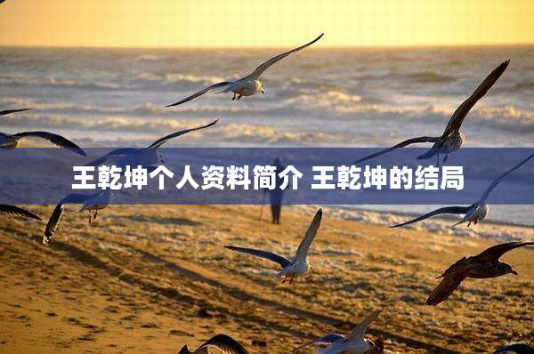 王乾坤个人资料简介 王乾坤的结局