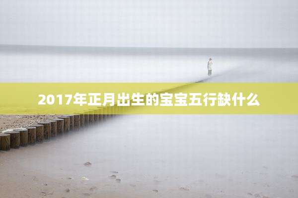 2017年正月出生的宝宝五行缺什么