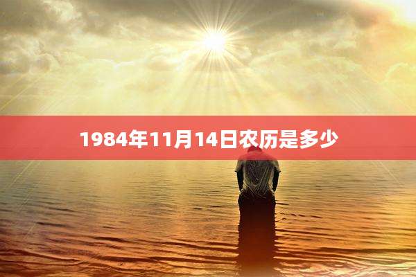 1984年11月14日农历是多少