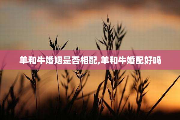 羊和牛婚姻是否相配,羊和牛婚配好吗