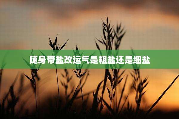 随身带盐改运气是粗盐还是细盐