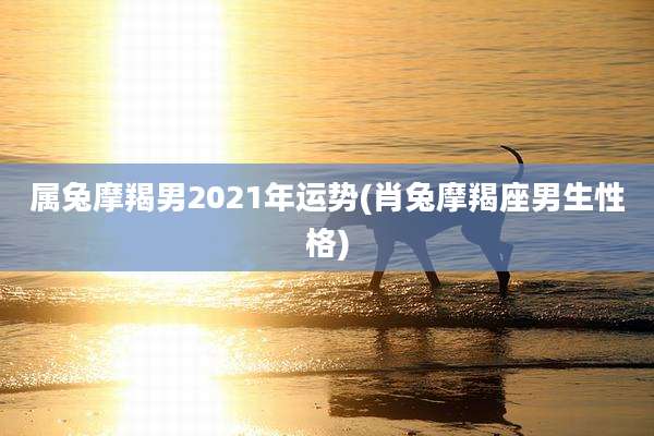 属兔摩羯男2021年运势(肖兔摩羯座男生性格)