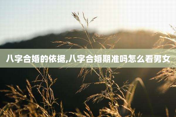 八字合婚的依据,八字合婚期准吗怎么看男女