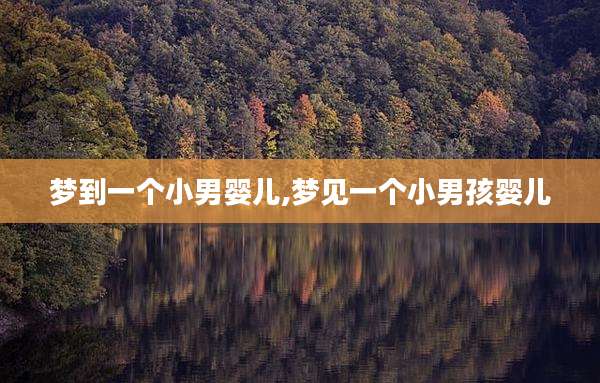 梦到一个小男婴儿,梦见一个小男孩婴儿