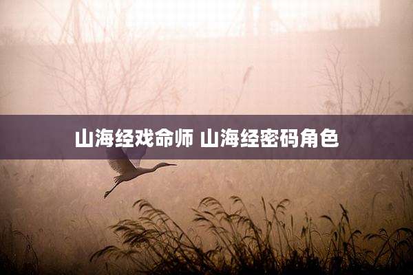 山海经戏命师 山海经密码角色
