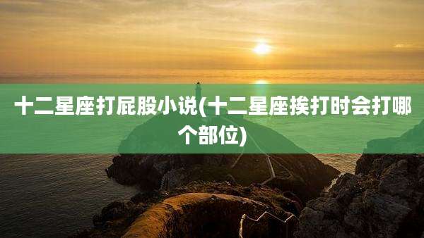 十二星座打屁股小说(十二星座挨打时会打哪个部位)