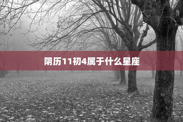 阴历11初4属于什么星座