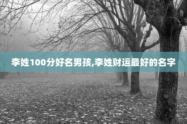 李姓100分好名男孩,李姓财运最好的名字