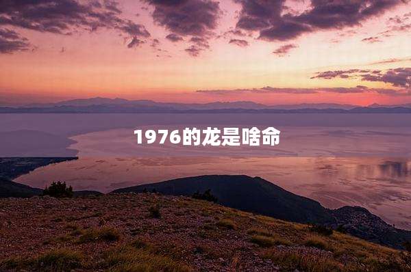 1976的龙是啥命