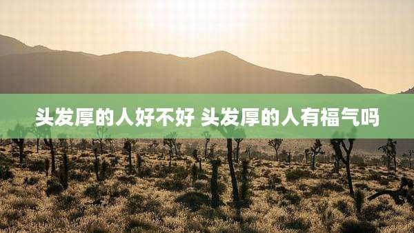 头发厚的人好不好 头发厚的人有福气吗