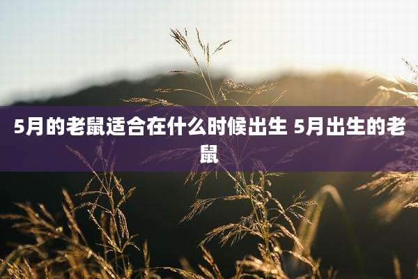 5月的老鼠适合在什么时候出生 5月出生的老鼠