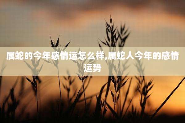 属蛇的今年感情运怎么样,属蛇人今年的感情运势