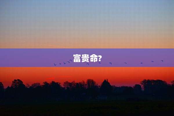 富贵命?