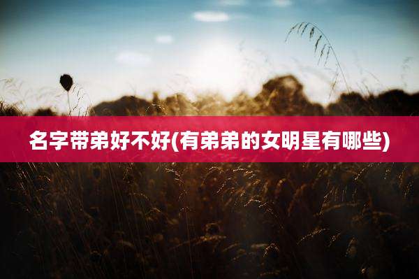 名字带弟好不好(有弟弟的女明星有哪些)