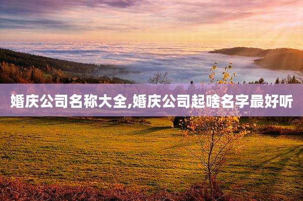 婚庆公司名称大全,婚庆公司起啥名字最好听