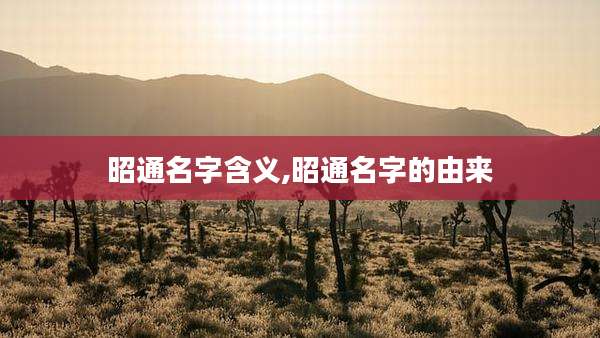 昭通名字含义,昭通名字的由来