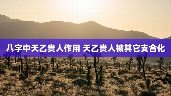 八字中天乙贵人作用 天乙贵人被其它支合化