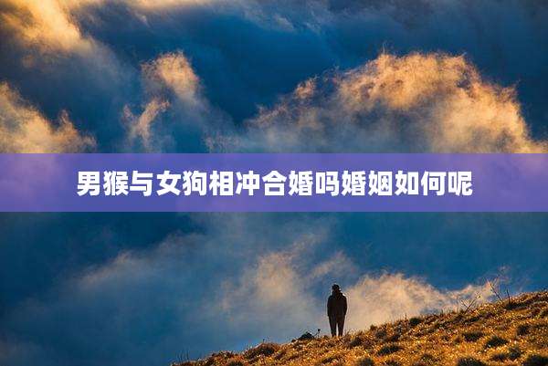 男猴与女狗相冲合婚吗婚姻如何呢