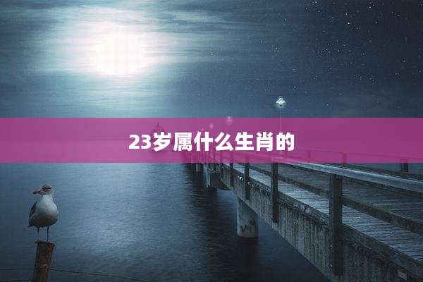 23岁属什么生肖的