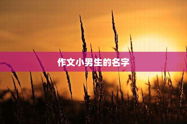 作文小男生的名字