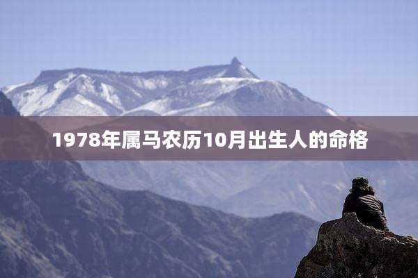 1978年属马农历10月出生人的命格