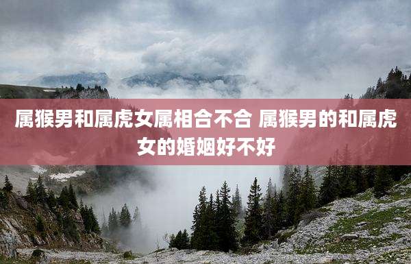 属猴男和属虎女属相合不合 属猴男的和属虎女的婚姻好不好