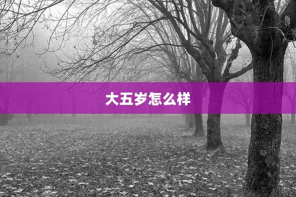 大五岁怎么样