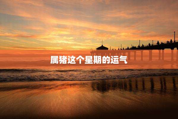 属猪这个星期的运气