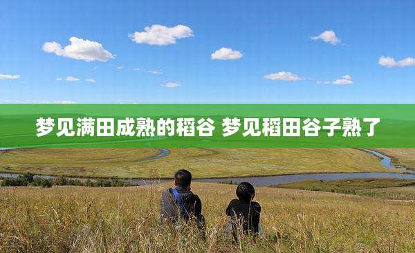 梦见满田成熟的稻谷 梦见稻田谷子熟了