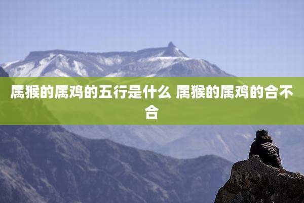 属猴的属鸡的五行是什么 属猴的属鸡的合不合
