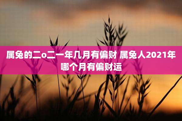 属兔的二o二一年几月有偏财 属兔人2021年哪个月有偏财运