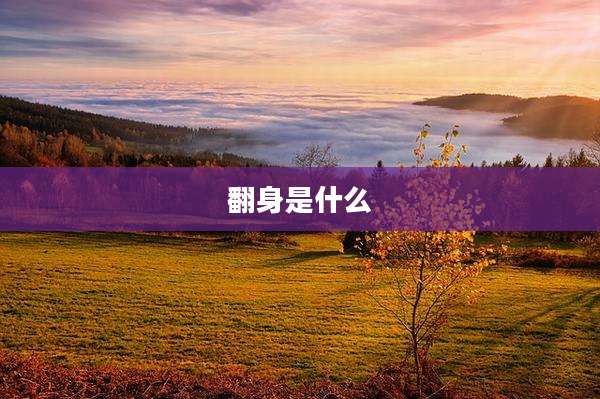 翻身是什么