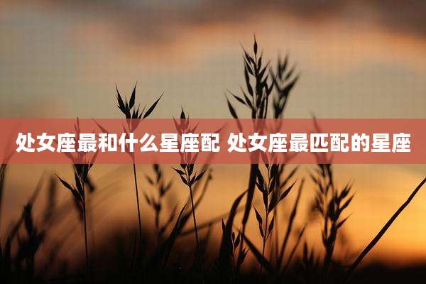 处女座最和什么星座配 处女座最匹配的星座