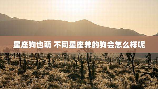 星座狗也萌 不同星座养的狗会怎么样呢