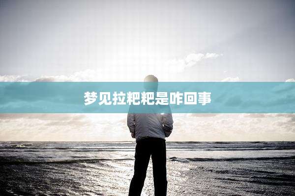 梦见拉粑粑是咋回事