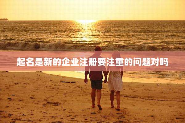 起名是新的企业注册要注重的问题对吗