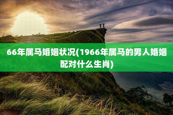 66年属马婚姻状况(1966年属马的男人婚姻配对什么生肖)
